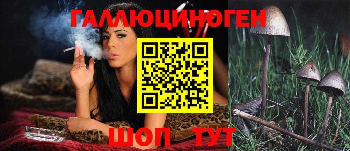 Галлюциногенные грибы GOLDEN TEACHER  Вход с VPN  наркота  Таганрог 